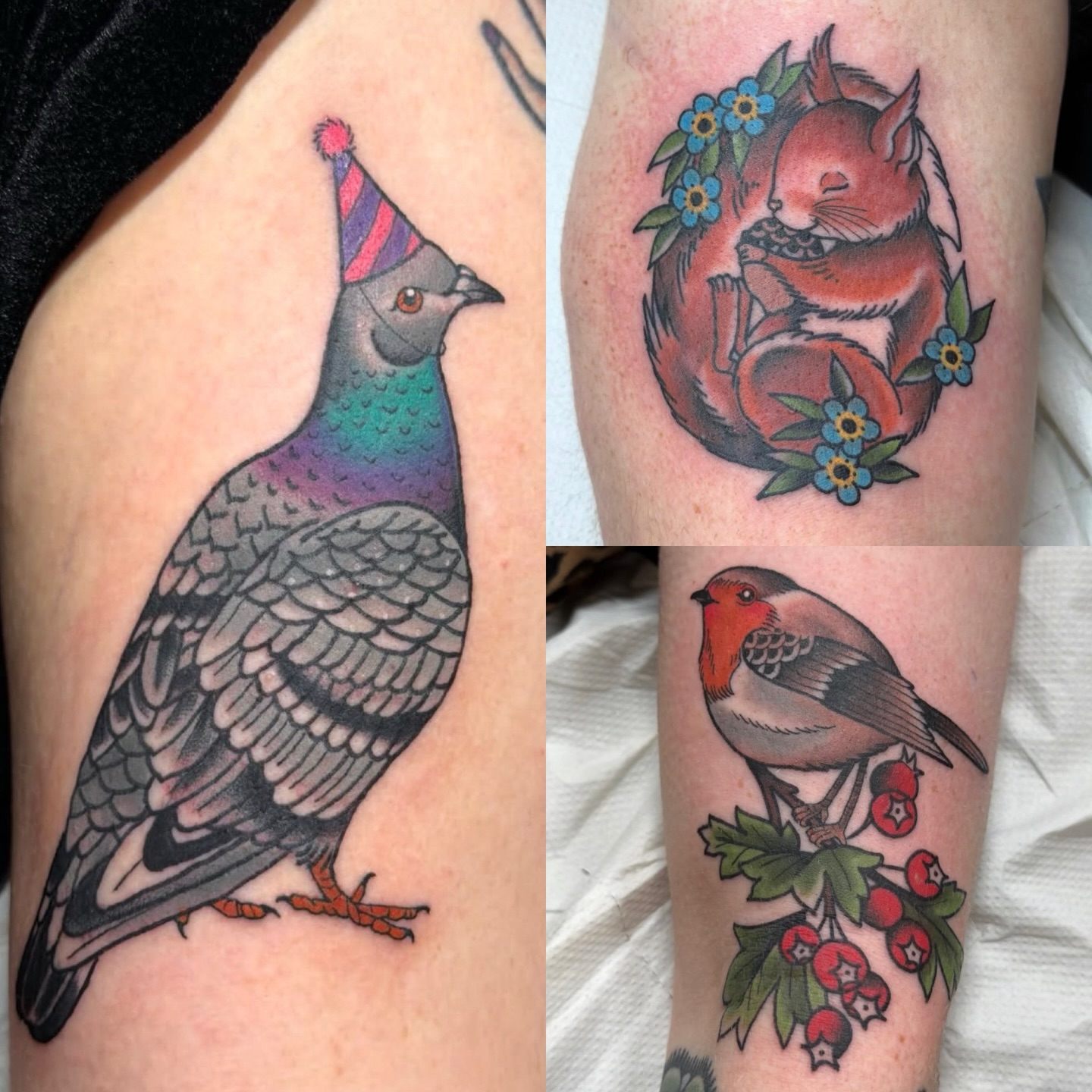 Bird tattoos including a party pigeon and a robin on a berry branch